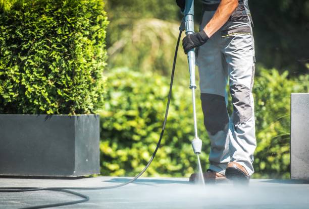 Best Driveway Pressure Washing  in Greenport West, NY