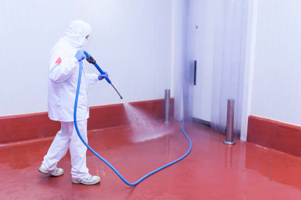 Best Concrete Sealing  in Greenport West, NY